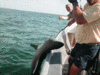 6-23-08-7.gif