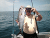 6-26-08-20.gif