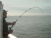 6-26-08-5.gif