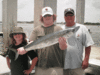 6-29-082.gif