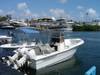 601boat2.JPG