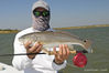 6FISH-060C.jpg