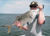 7-10-31.gif