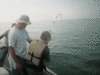 7-14-08-2.gif