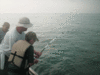 7-14-08-3.gif