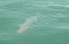 7-14-08-5.gif