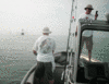 7-14-08-6.gif
