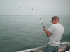7-14-08-71.gif