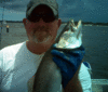 7-16-3.gif
