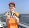 7-17-3.gif