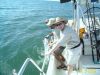7-19-09_135_.JPG
