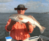 7-24-2.gif