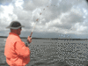 7-24-6.gif