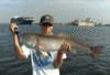 7-29-11.gif