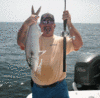 7-3-08-2.gif