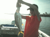 7-31-1.gif