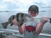 7-31-10.gif