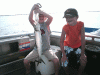 7-31-6.gif