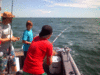 7-7-1.gif