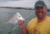 7-9-05.gif