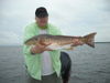 8-11_fish_picts_001.JPG