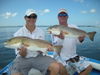 8-11_fish_picts_010.JPG