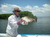 8-11_fish_picts_013.JPG