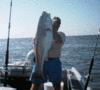 8-25-2.gif