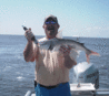 8-25-4.gif