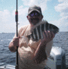8-25-5.gif