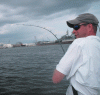 8-31-2.gif