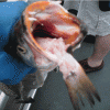 9-12-4.gif