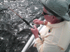 9-17-4.gif