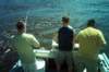 9-27-41.gif