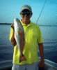 9-29-1.gif