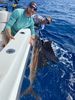 A-summer-sailfish-IMG_0385.jpg