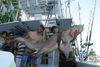 AUG_2010_244.JPG