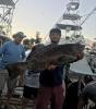 Alex_with_a_monster_grouper_caught_with_New_Lattitude_Sportfishing.jpg