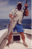 AmberJack.gif