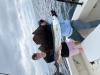 April_2026_Sailfish.jpeg