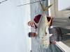 April_2026_Tuna2.jpeg