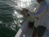 Art_s_Tarpon_Boatside_Photo_Capt_Rob_Modys.jpg