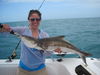 AshleyMalikowski36Cobia.JPG