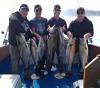 Aug28_DaveSturgeon_1200.jpg