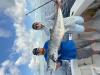August_2025_Mackerel.jpg