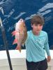 August_2026_fishing_report_Snapper.jfif