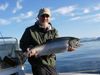 Beautiful_Offshore_Salmon.JPG