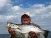Beautiful_Trout.jpg