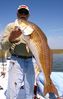 Ben_Benoit_of_Biloxi_MS_witha_fine_LA_redfish_.JPG