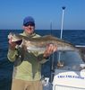 Big_Cobia_Photo_Larry_Hendricks.jpg